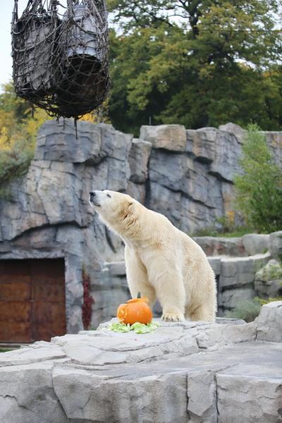 2015-10-22 06-30-19.JPG